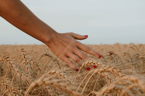 Gellak nagels Noordwijk en omgeving